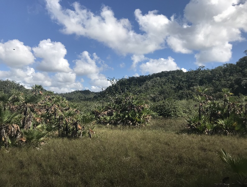 View of the karst hills at Runaway Creek